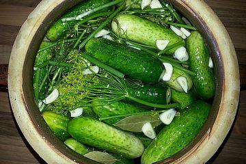 Leckere Salzgurken selbstgemacht: Einfaches Rezept für den Winter