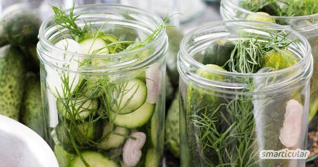 Fermentierte Salzgurken herstellen: Gesunde Delikatesse aus eigener Küche