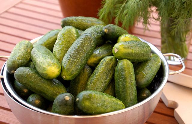 Traditionelle Köstlichkeit selbst gemacht: Salzgurken einlegen wie früher