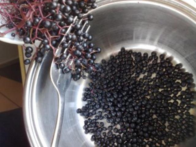 Leckerer Hollerbuschlikör zum Selbermachen