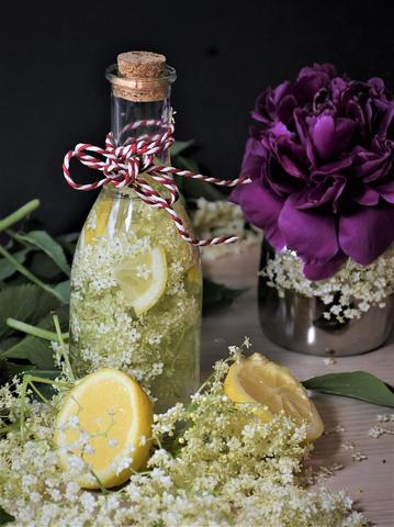 Traditionelles Rezept: Holunderlikör selber herstellen