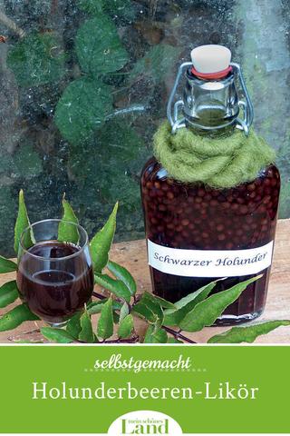 Gesunder und schmackhafter Holunderlikör zum Selbermachen