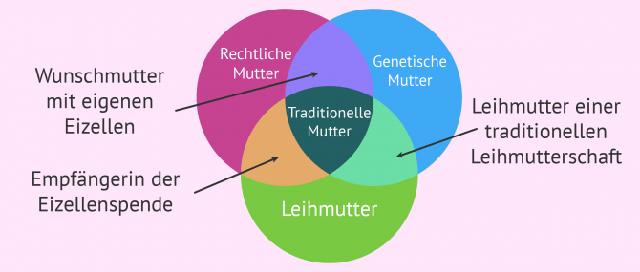 Leihmutterschaft: Eine Erklärung des Konzepts und seiner Modelle Leihmutterschaft: Eine Erklärung des Konzepts und seiner Modelle