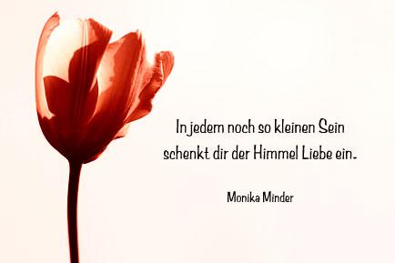 "Die schönsten Reimwörter für 