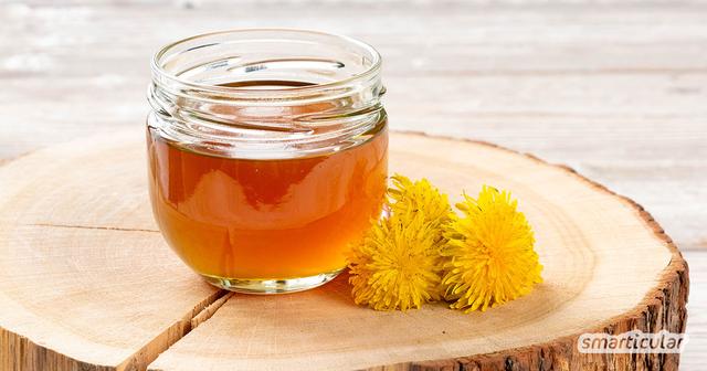 Löwenzahnblüten verwerten: So machst du deinen eigenen Honig Löwenzahnblüten verwerten: So machst du deinen eigenen Honig