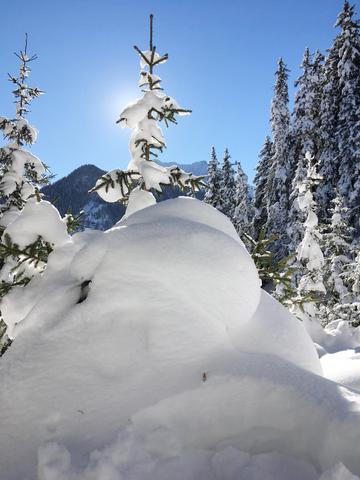 Schneeprognose: Wann kommt der ersehnte Schnee? Schneeprognose: Wann kommt der ersehnte Schnee?