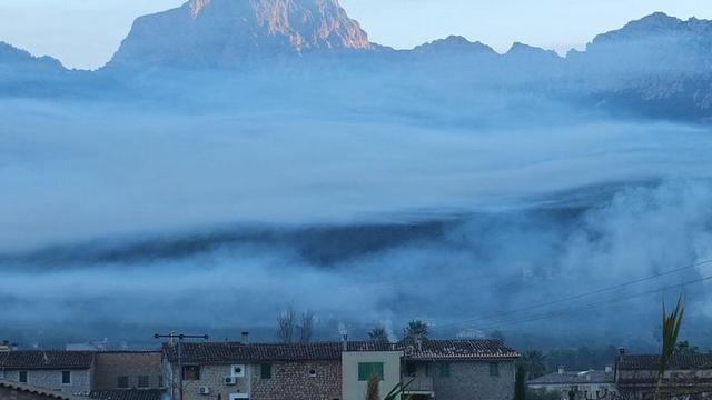 Die Auswirkungen der Luftverschmutzung auf empfindliche Menschen auf Mallorca Die Auswirkungen der Luftverschmutzung auf empfindliche Menschen auf Mallorca