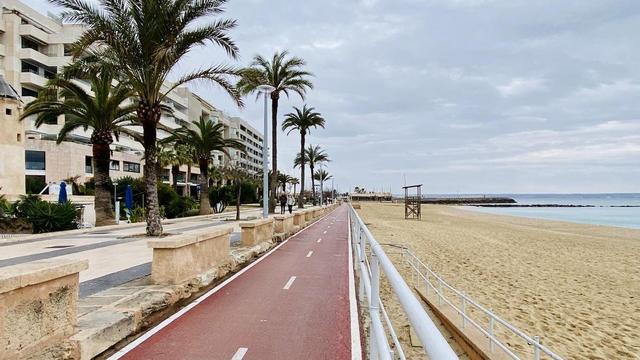 Wie beeinflusst die Luftqualität empfindliche Personen auf Mallorca? Wie beeinflusst die Luftqualität empfindliche Personen auf Mallorca?