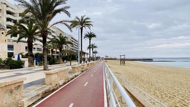 Die akzeptable Luftqualität auf Mallorca: Eine Herausforderung für empfindliche Personen Die akzeptable Luftqualität auf Mallorca: Eine Herausforderung für empfindliche Personen