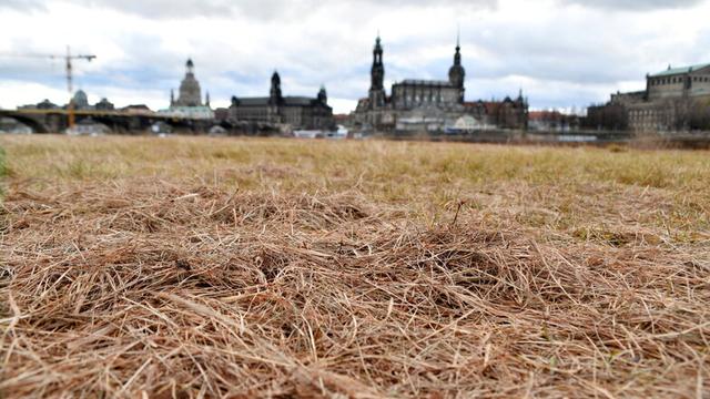 Neueste Informationen zum Regen in Dresden Neueste Informationen zum Regen in Dresden