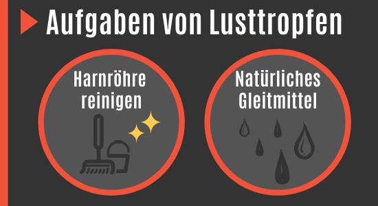 Lusttropfen: Aufbau und Funktion des männlichen Sekrets Lusttropfen: Aufbau und Funktion des männlichen Sekrets