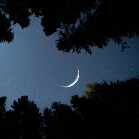 Der Neumond im Februar 2023: Eine spirituelle Reset-Taste für alle Sternzeichen Der Neumond im Februar 2023: Eine spirituelle Reset-Taste für alle Sternzeichen