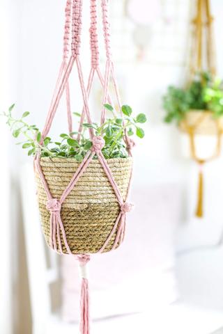 Klassische Makramee-Blumenampel: Schritt-für-Schritt-Anleitung zum Selbermachen Klassische Makramee-Blumenampel: Schritt-für-Schritt-Anleitung zum Selbermachen