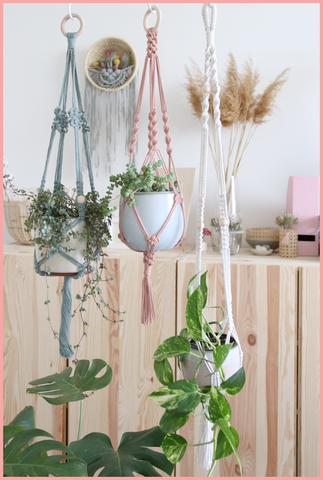 Materialien und Knoten: Tipps für deine selbstgemachte Makramee-Blumenampel Materialien und Knoten: Tipps für deine selbstgemachte Makramee-Blumenampel