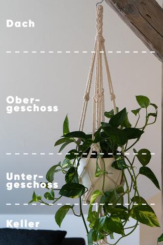 DIY-Anleitung: So knüpfst du deine eigene Makramee-Blumenampel DIY-Anleitung: So knüpfst du deine eigene Makramee-Blumenampel