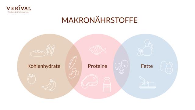 Mikronährstoffe vs. Makronährstoffe: Wo liegt der Unterschied? Mikronährstoffe vs. Makronährstoffe: Wo liegt der Unterschied?
