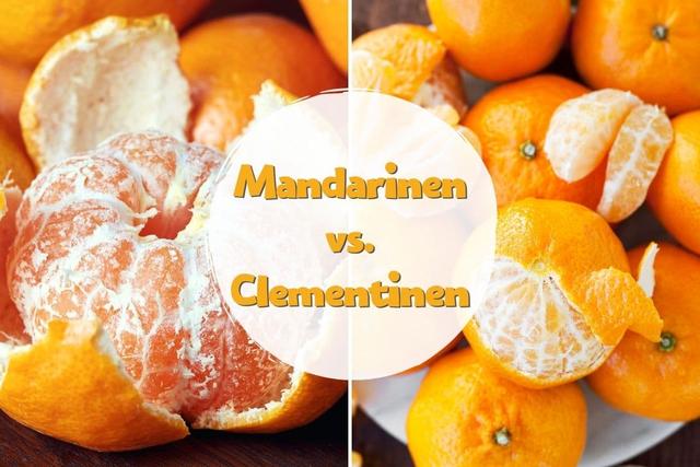 Mandarinen vs. Clementinen: Was sind die Unterschiede?