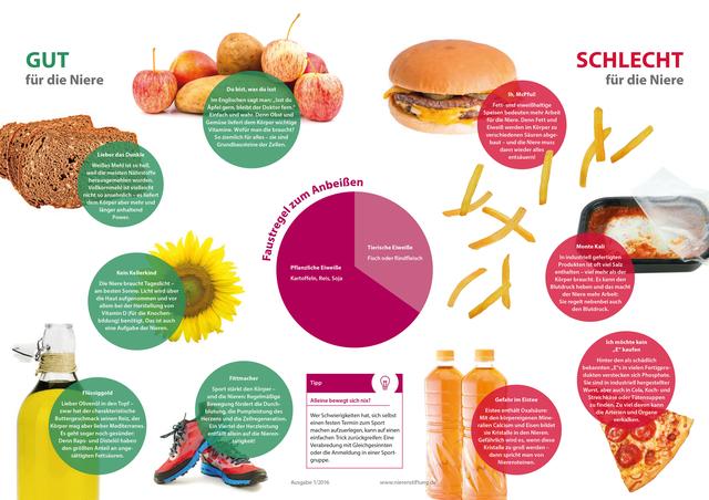 Tipps für eine gesunde Ernährung bei mäßig eingeschränkter Nierenfunktion Tipps für eine gesunde Ernährung bei mäßig eingeschränkter Nierenfunktion