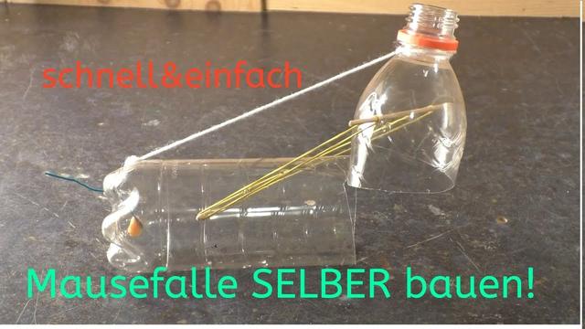 Step-by-Step-Anleitung: Eine Mausefalle einfach und schnell selbst bauen Step-by-Step-Anleitung: Eine Mausefalle einfach und schnell selbst bauen