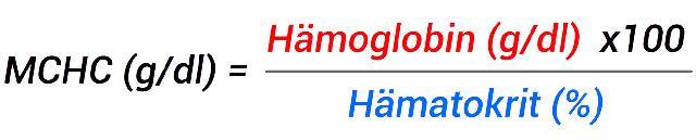 MCHC-Wert bei Männern und Frauen: Normale Grenzwerte und Bedeutung MCHC-Wert bei Männern und Frauen: Normale Grenzwerte und Bedeutung