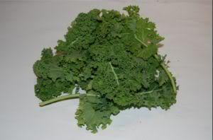 Rucola und Meerschweinchen: Was Sie beachten sollten Rucola und Meerschweinchen: Was Sie beachten sollten