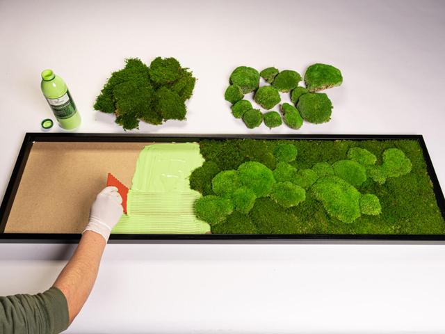 Mit einer selbstgemachten Mooswand die Natur ins Haus holen Mit einer selbstgemachten Mooswand die Natur ins Haus holen