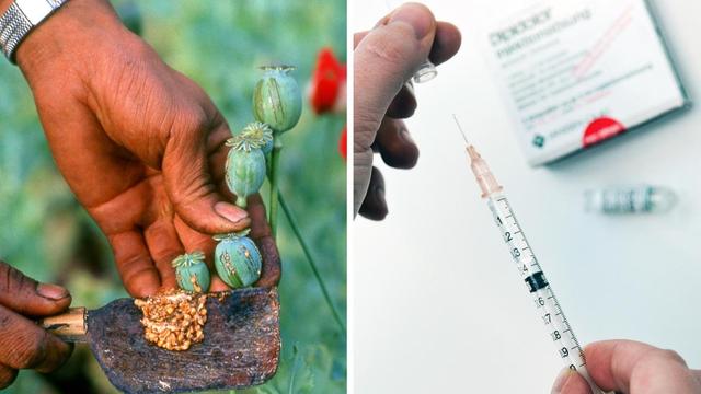 Verständnis der Wirkung von Morphium im Sterbeprozess Verständnis der Wirkung von Morphium im Sterbeprozess