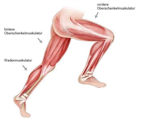 Muskelfaserriss im Oberschenkel: Wie behandelt man Schmerzen wie Messerstiche?