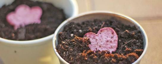 Persönliche Grußkarten gestalten mit selbstgemachtem Saatpapier