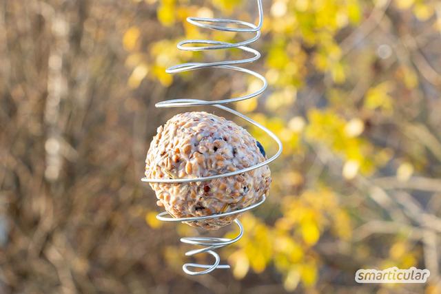 Praktische Tipps: Meisenknödelhalter aus Draht selbst herstellen Praktische Tipps: Meisenknödelhalter aus Draht selbst herstellen