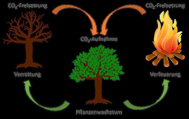 Energie und Stoffe aus der Natur: Die Vielseitigkeit der nachwachsenden Rohstoffe Energie und Stoffe aus der Natur: Die Vielseitigkeit der nachwachsenden Rohstoffe