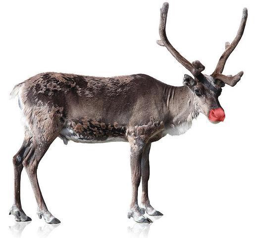 Woher stammen die Namen der Rentiere des Weihnachtsmannes? Woher stammen die Namen der Rentiere des Weihnachtsmannes?