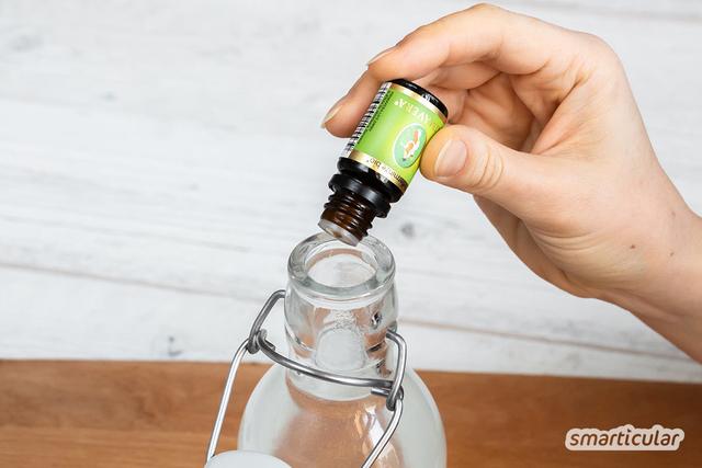 Schützen Sie Ihre Zähne auf natürliche Weise: DIY Mundspülung Rezept für zu Hause Schützen Sie Ihre Zähne auf natürliche Weise: DIY Mundspülung Rezept für zu Hause