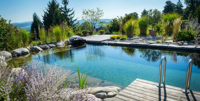 Naturpool selber bauen: Tipps und Tricks für den perfekten Schwimmteich im eigenen Garten