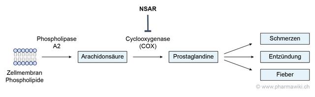 "NSAR erklärt: Schmerzlinderung, Entzündungshemmung und mehr"