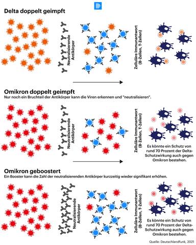 Studie zeigt: Omikron-Infizierte länger ansteckend als gedacht Studie zeigt: Omikron-Infizierte länger ansteckend als gedacht