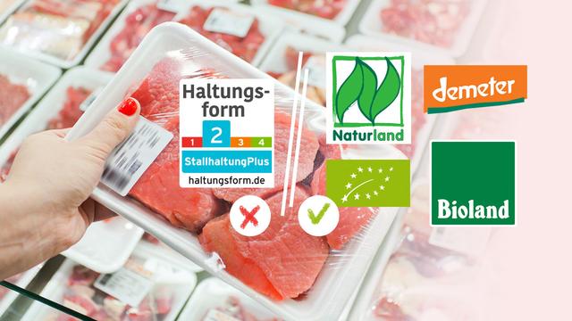 Mindestanforderungen für Tierhaltung: Was bedeuten die Kennzeichnungen 1-4? Mindestanforderungen für Tierhaltung: Was bedeuten die Kennzeichnungen 1-4?