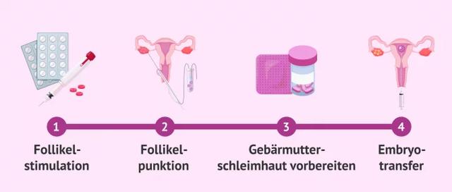 Verhalten nach dem Embryonentransfer: Verhalten nach dem Embryonentransfer: