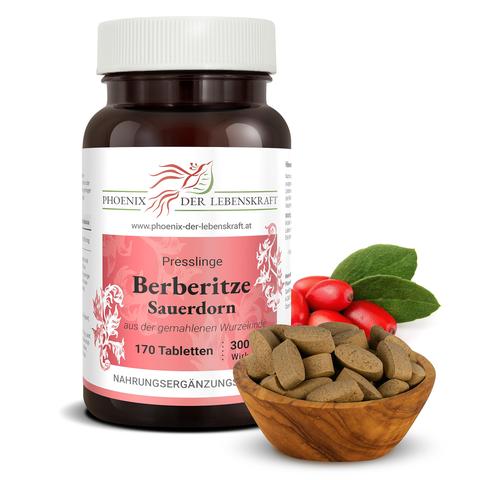 Entdecken Sie die vielfältigen Anwendungen von Berberitzen Entdecken Sie die vielfältigen Anwendungen von Berberitzen