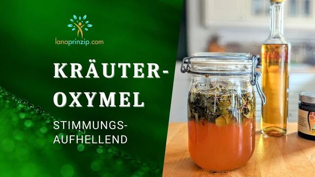 Sauerhonig selbst gemacht: So stellen Sie Oxymel mit Kräutern her Sauerhonig selbst gemacht: So stellen Sie Oxymel mit Kräutern her