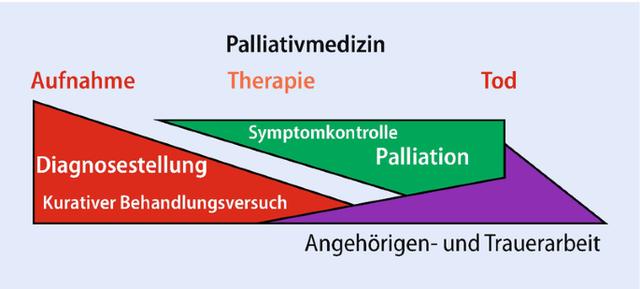 Akzeptanz des Sterbens und Erhalt der Lebensqualität in der Palliativmedizin Akzeptanz des Sterbens und Erhalt der Lebensqualität in der Palliativmedizin