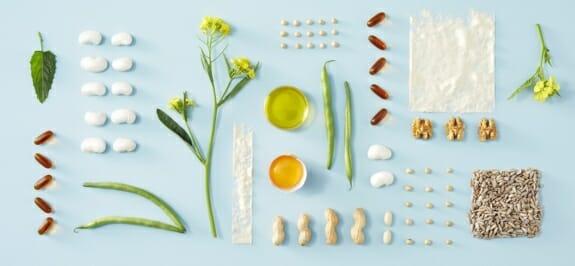 Palmfett in Lebensmitteln: Wie man schädliche Einflüsse vermeiden kann