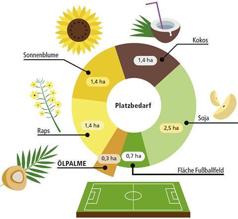 Nachhaltige Lösungen statt Palmfett: Alternativen für umweltbewusste Verbraucher