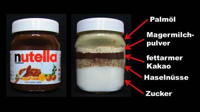 Palmfett: Was steckt dahinter und welche Auswirkungen hat es?