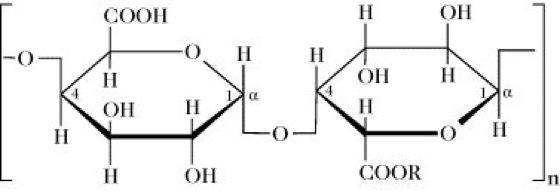 Pektine im Detail: Funktionen und Eigenschaften Pektine im Detail: Funktionen und Eigenschaften
