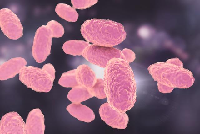 Pertussis: Eine der häufigsten Infektionskrankheiten der Atemwege