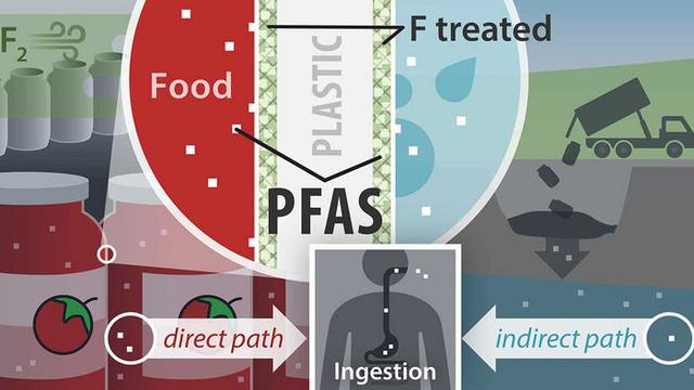 4. PFAS in Produkten: Wo man sie findet und welche Risiken damit verbunden sind 4. PFAS in Produkten: Wo man sie findet und welche Risiken damit verbunden sind