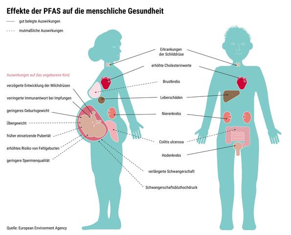 1. PFAS: Eine Gruppe von gefährlichen Chemikalien mit langfristigen Auswirkungen auf die Gesundheit 1. PFAS: Eine Gruppe von gefährlichen Chemikalien mit langfristigen Auswirkungen auf die Gesundheit