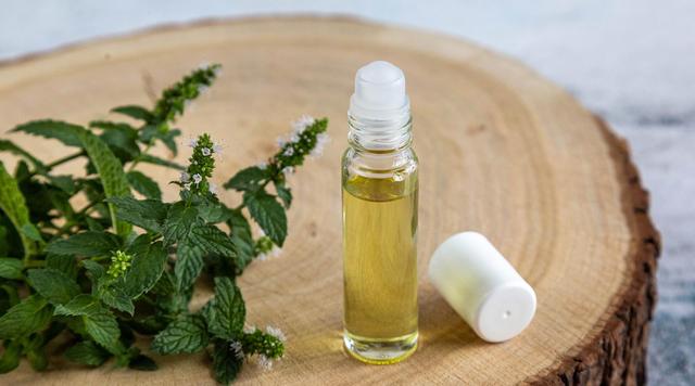 Die Kaltmethode: Die beste Art, um Pfefferminzöl selbst zu machen Die Kaltmethode: Die beste Art, um Pfefferminzöl selbst zu machen