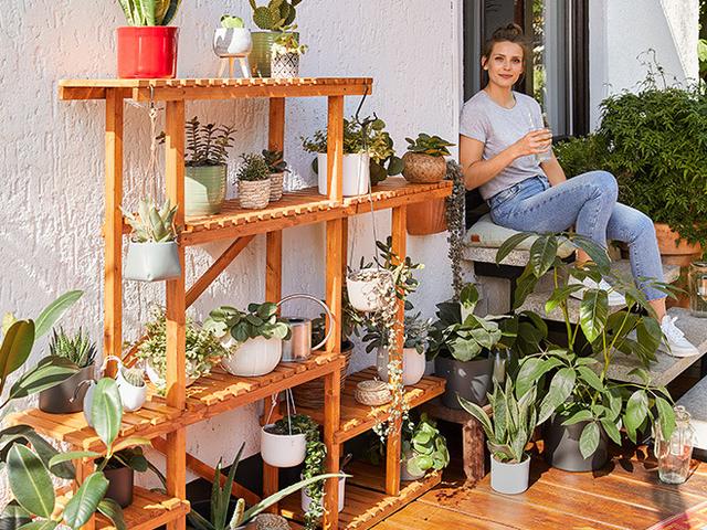 Mit wenig Platz zum eigenen Kräutergarten: So bauen Sie ein Pflanzenregal selbst Mit wenig Platz zum eigenen Kräutergarten: So bauen Sie ein Pflanzenregal selbst